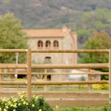 Rural *